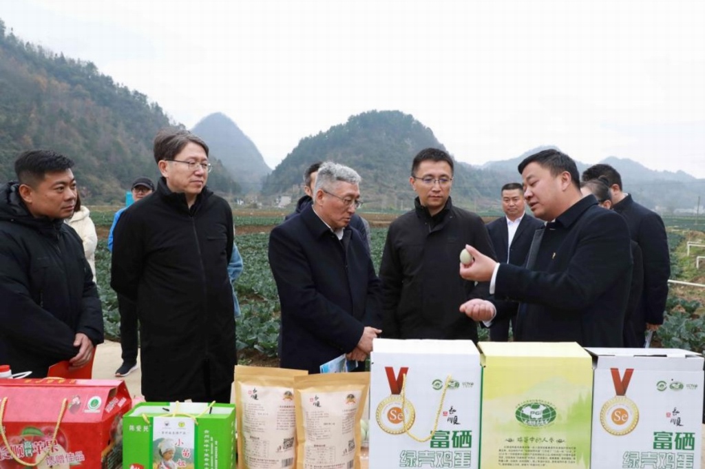 欧博abg-官方网址登录入口