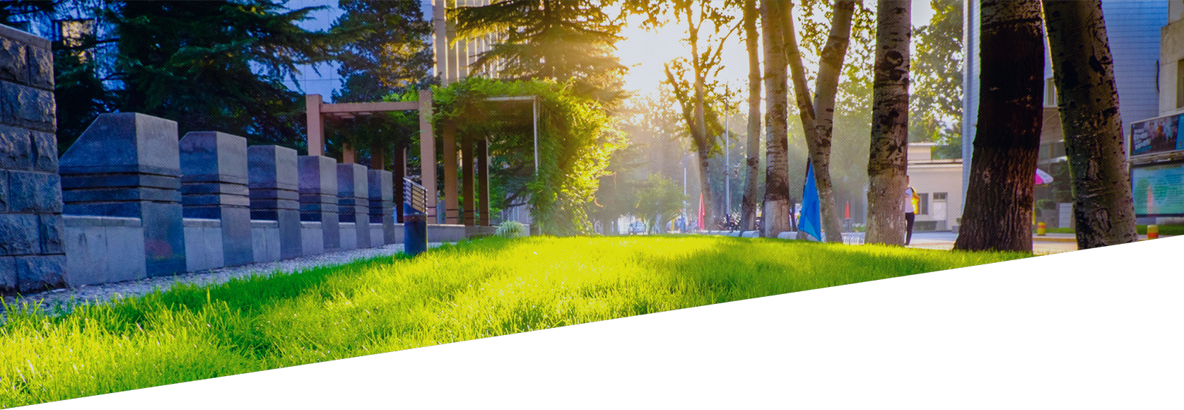 欧博abg-官方网址登录入口