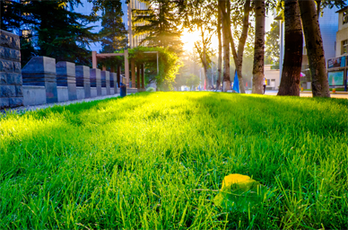 欧博abg-官方网址登录入口