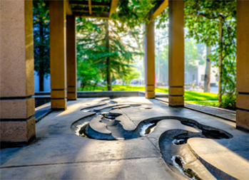 欧博abg-官方网址登录入口